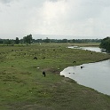 India & Nepal 2011 - 0523